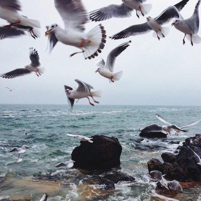 hurgada_moreturov