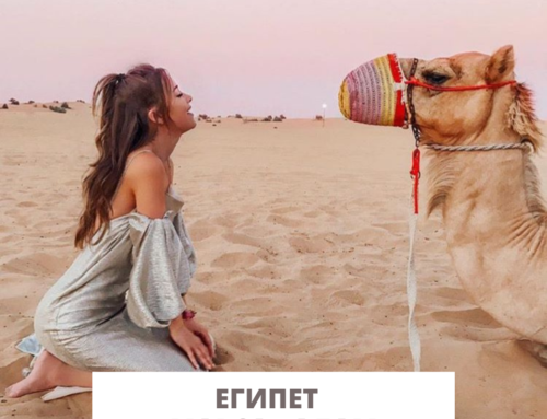 На Новый Год в Марса-Алам!